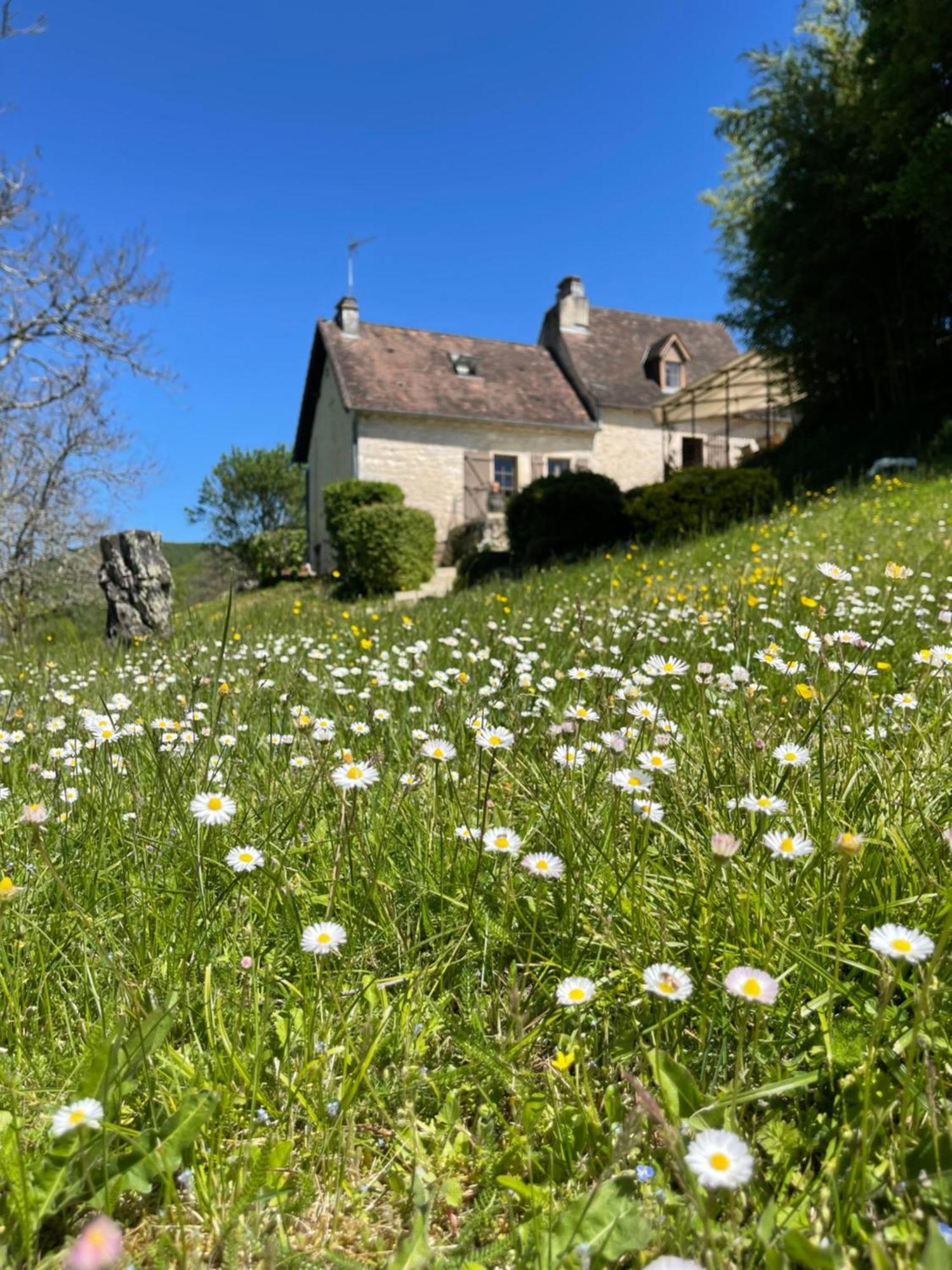 Domaine Du Bonheur En Pierre Avec Piscine, Proche Sarlat Villa Carlux Eksteriør bilde